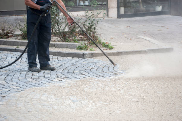 Best Animal Enclosure Cleaning  in Edburgh, IN